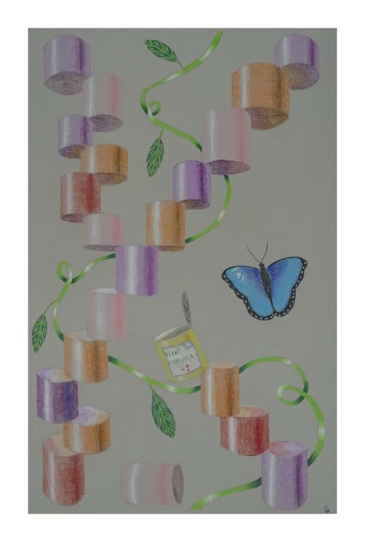 Cassidy A., Class of 2021