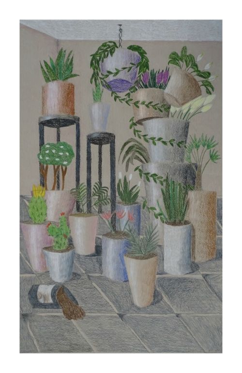 Serena S.,Class of 2022