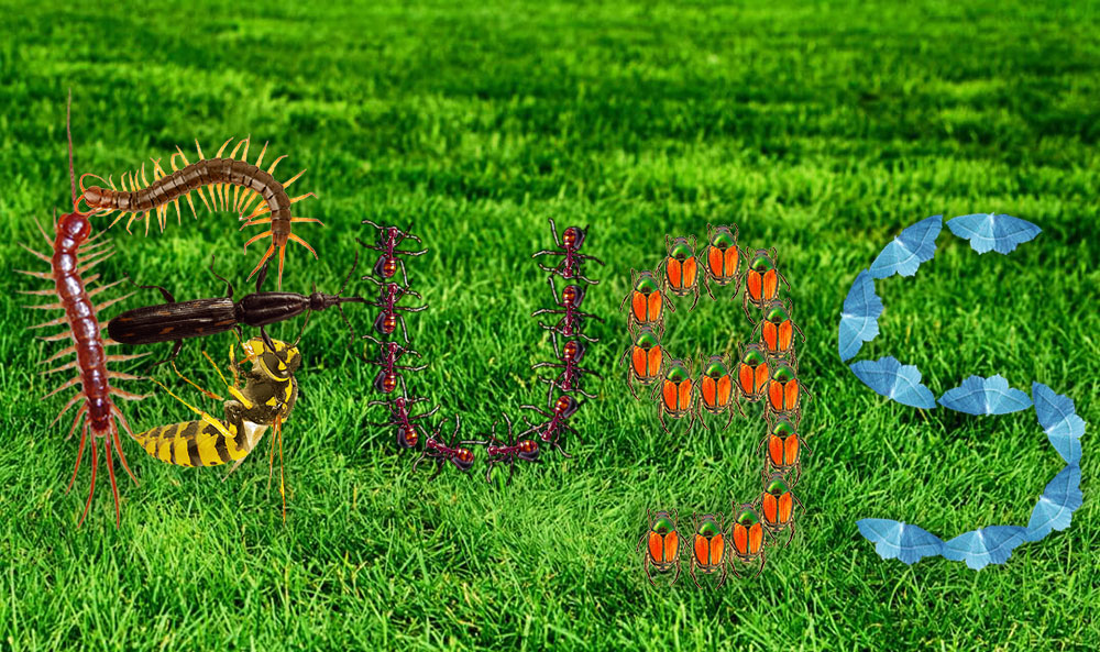 Cole R., Class of 2023, Computer Graphics