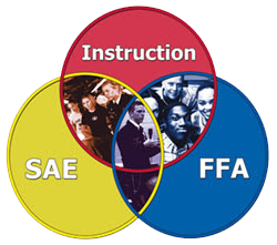 FFA Model